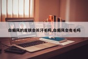 白癜风的皮肤会长汗毛吗,白癜风会有毛吗