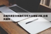 白癜风类型分类图片分析大全图解详解,白癜风图样