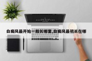 白癜风最开始一般长哪里,白癜风最初长在哪