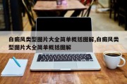 白癜风类型图片大全简单概括图解,白癜风类型图片大全简单概括图解