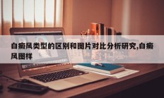 白癜风类型的区别和图片对比分析研究,白癜风图样