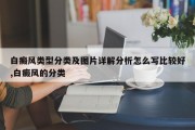 白癜风类型分类及图片详解分析怎么写比较好,白癜风的分类