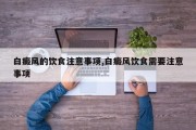 白癜风的饮食注意事项,白癜风饮食需要注意事项