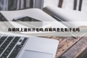 白癜风上面长汗毛吗,白癜风患处有汗毛吗