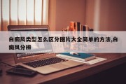 白癜风类型怎么区分图片大全简单的 *** ,白癜风分辨