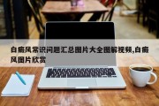 白癜风常识问题汇总图片大全图解视频,白癜风图片欣赏