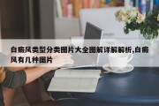 白癜风类型分类图片大全图解详解解析,白癜风有几种图片