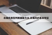 白癜风类型判断图解大全,白癜风的基本特征