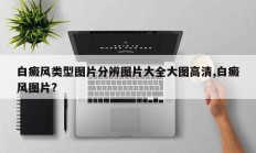 白癜风类型图片分辨图片大全大图高清,白癜风图片?